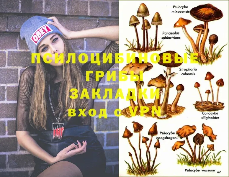 Галлюциногенные грибы Magic Shrooms  Навашино 